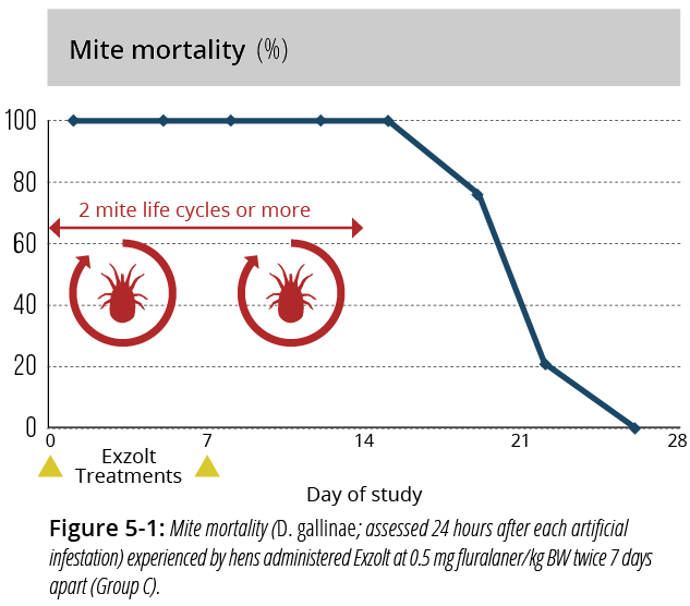 mite mortality