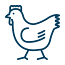 poultry welfare