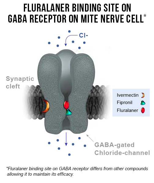 gaba receptor graphic