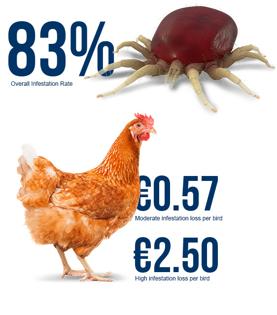 infestation rate