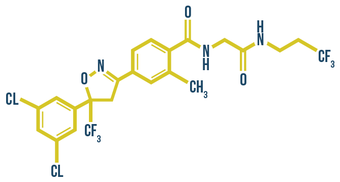 molecule